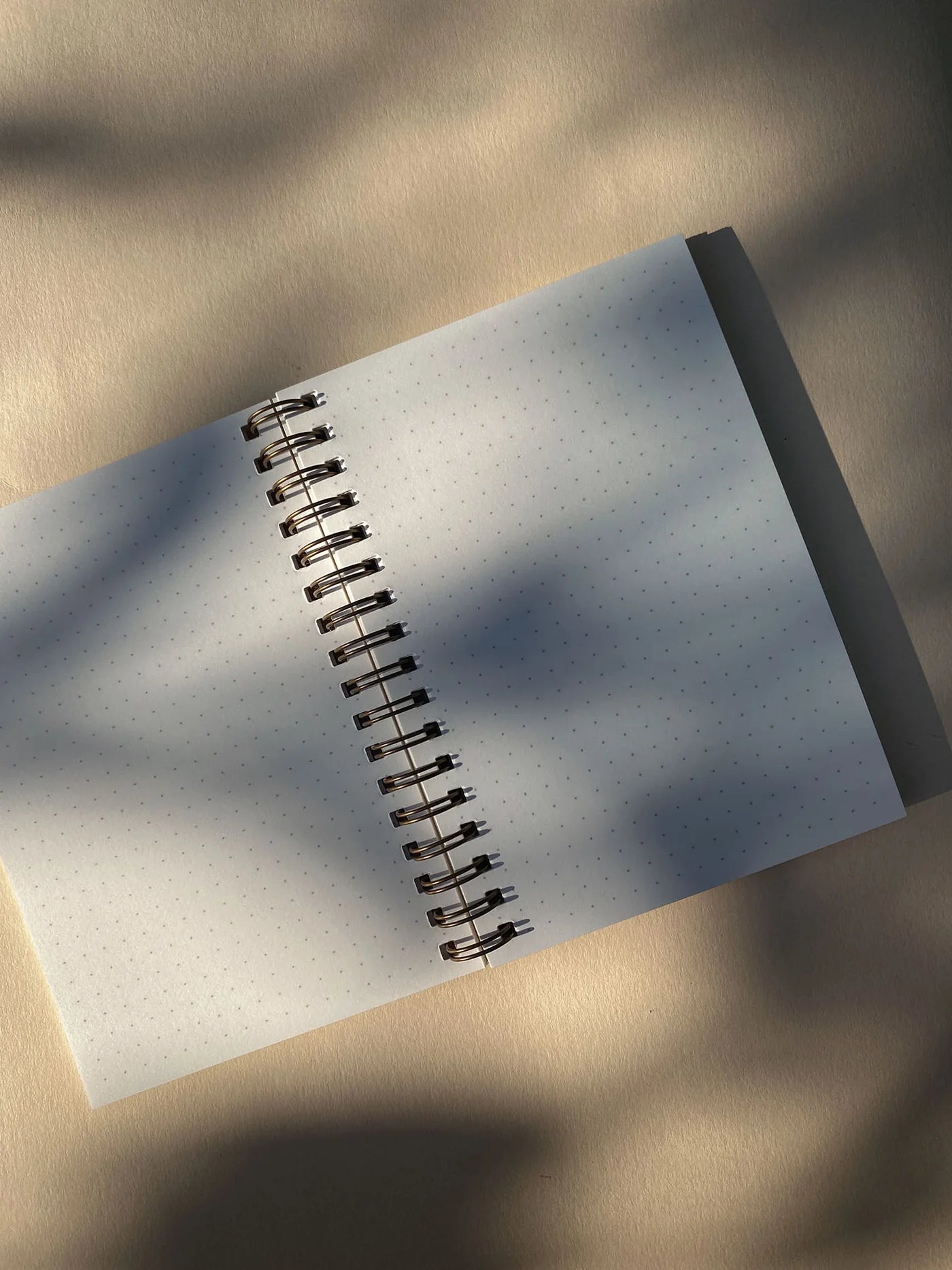 GIFT SET - LET THE OLD GO SO THE NEW CAN GROW