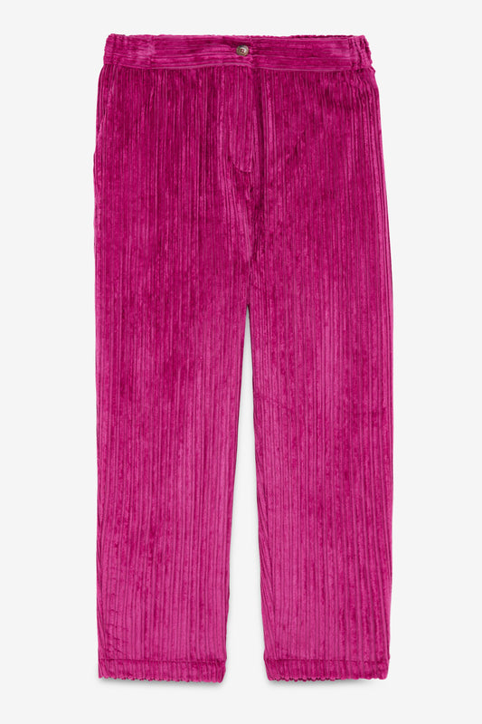 Velvet pants