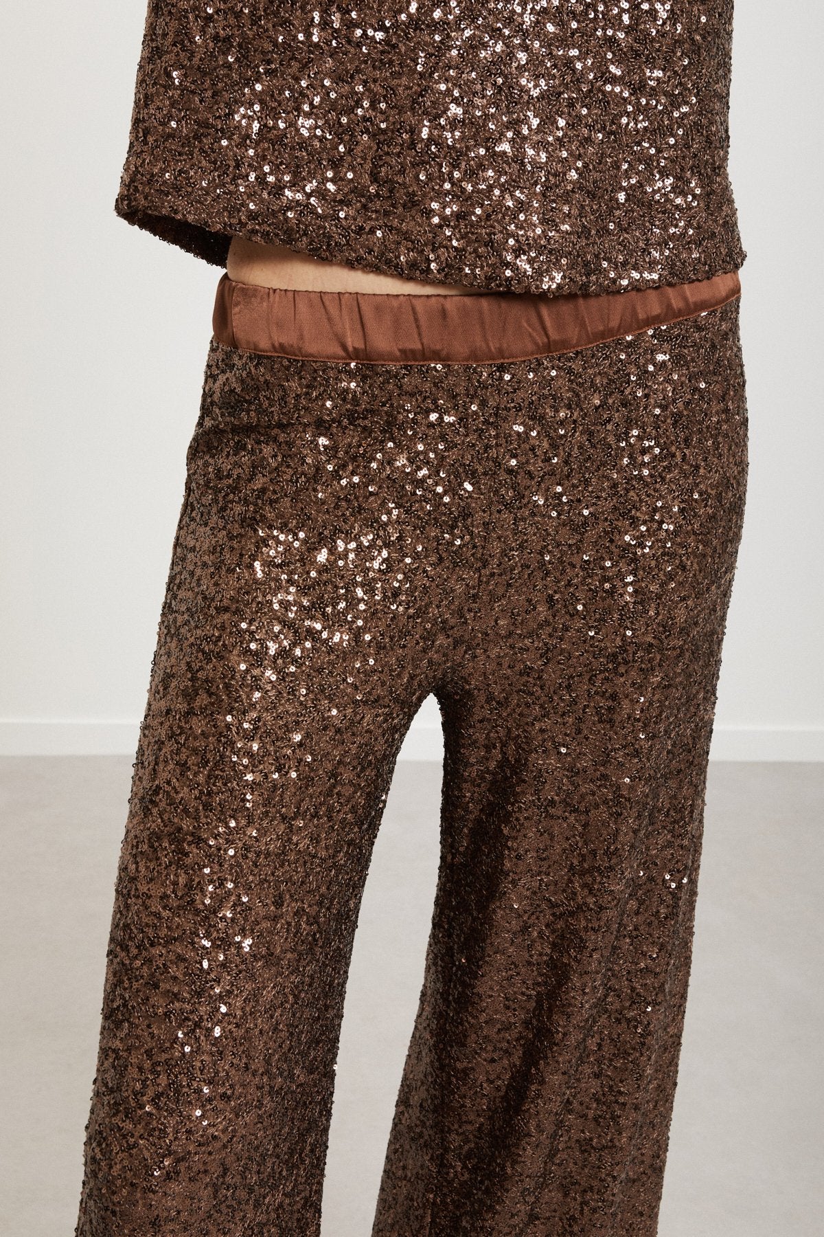 Palazzo Trousers with Sequin